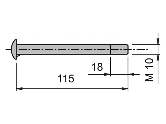 Bolt 10x115mm for hengsel 304018