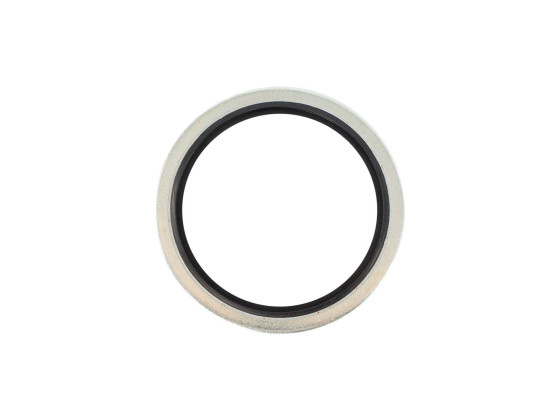 Skive med pakning B S 1"