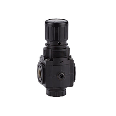 Excelon general purpose pressure regulator, G1/4, 0.3-10 bar